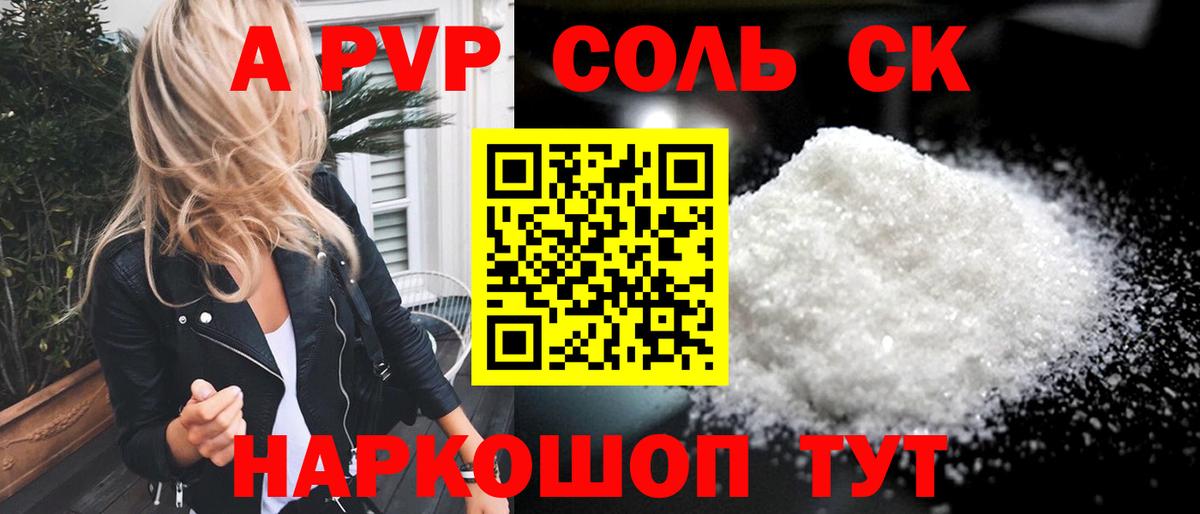 A PVP СК Дальнегорск