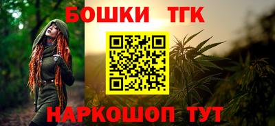 спиды Гагарин
