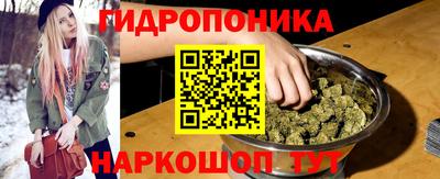твердый Гай
